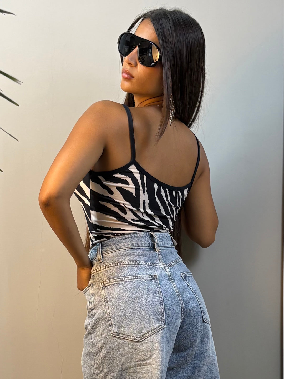Body zebrato